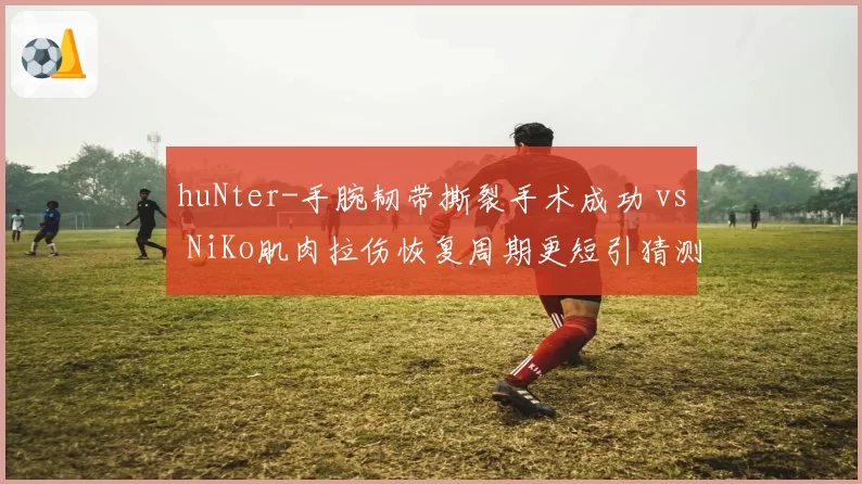 huNter-手腕韧带撕裂手术成功 vs NiKo肌肉拉伤恢复周期更短引猜测