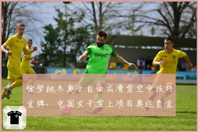 徐梦桃冬奥会自由式滑雪空中技巧金牌，中国女子雪上项目奥运首金意义非凡